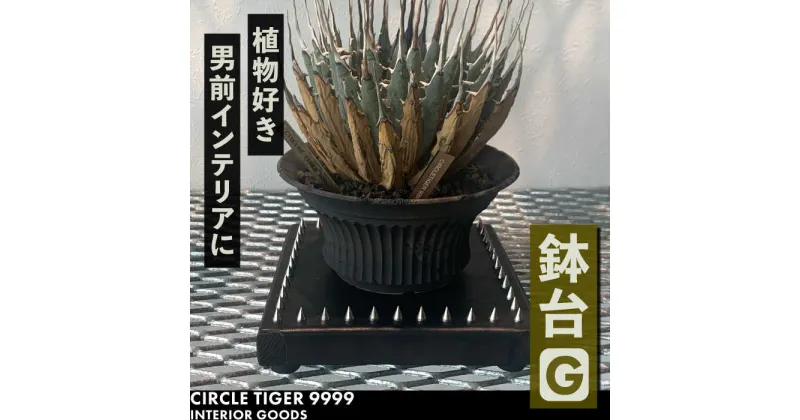 【ふるさと納税】1点モノ 鉢台 G《豊前市》【CIRCLE TIGER 9999】インテリア 植物 グリーン 室内 観葉植物[VCS007] 46000 46000円