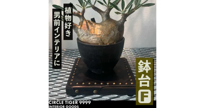 【ふるさと納税】1点モノ 鉢台 F《豊前市》【CIRCLE TIGER 9999】インテリア 植物 グリーン 室内 観葉植物[VCS006] 46000 46000円