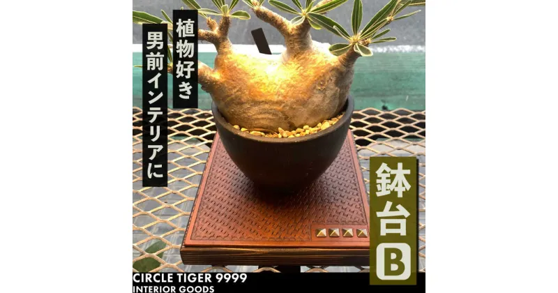 【ふるさと納税】1点モノ 鉢台 B《豊前市》【CIRCLE TIGER 9999】インテリア 植物 グリーン 室内 観葉植物[VCS002] 46000 46000円