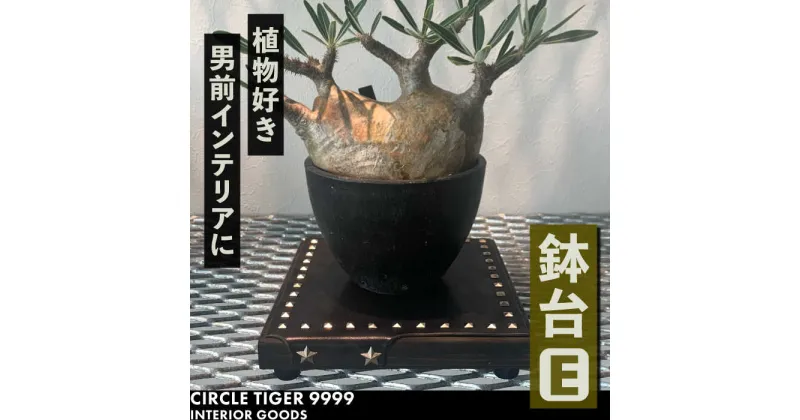 【ふるさと納税】1点モノ 鉢台 E《豊前市》【CIRCLE TIGER 9999】インテリア 植物 グリーン 室内 観葉植物[VCS005] 46000 46000円