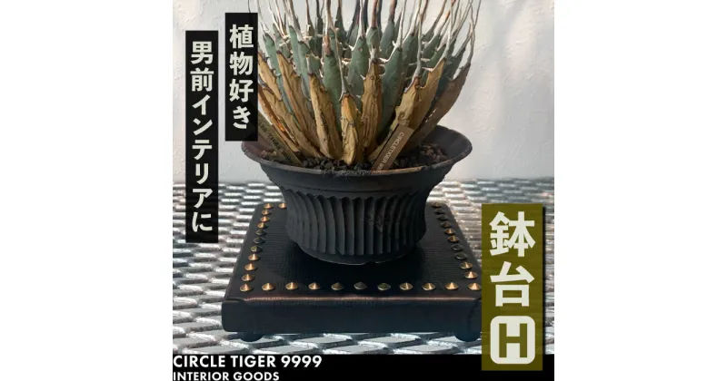 【ふるさと納税】1点モノ 鉢台 H《豊前市》【CIRCLE TIGER 9999】インテリア 植物 グリーン 室内 観葉植物[VCS008] 46000 46000円