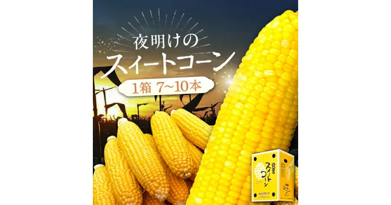 【ふるさと納税】【先行予約】夜明けのスイートコーン 4kg×1箱 (7〜10本) 【2025年6月以降順次発送】《豊前市》【アグリネックス】 とうもろこし コーン スイートコーン 13000円 [VCO001]