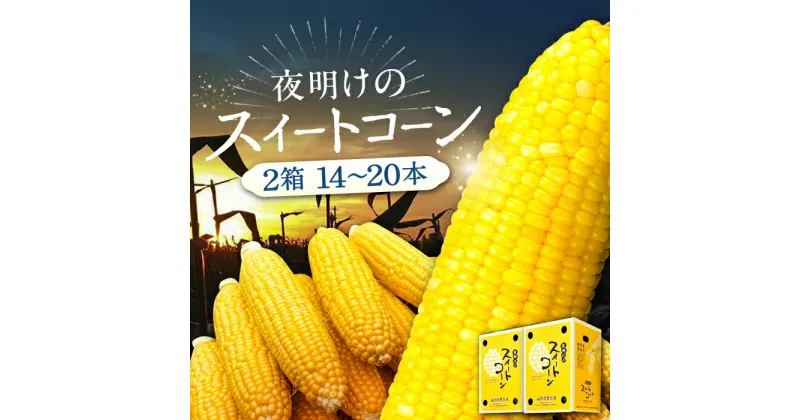 【ふるさと納税】【先行予約】夜明けのスイートコーン 4kg×2箱 (14〜20本) 【2025年6月以降順次発送】《豊前市》【アグリネックス】 とうもろこし コーン スイートコーン 23000円 [VCO002]