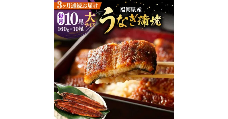 【ふるさと納税】【全3回定期便】福岡県産 うなぎ 蒲焼 大 10尾　計1600g（1尾あたり 160g以上）《豊前市》【福岡養鰻】 国産 鰻 ウナギ 蒲焼き[VAD027] 175000 175000円