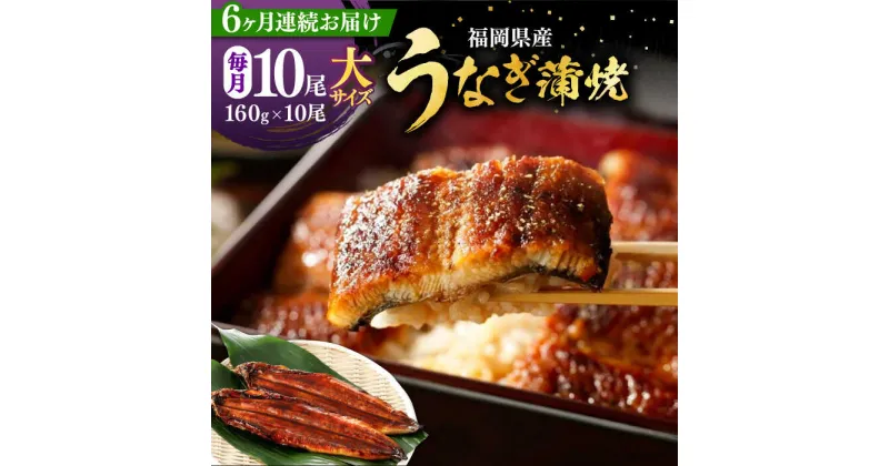 【ふるさと納税】【全6回定期便】福岡県産 うなぎ 蒲焼 大 10尾　計1600g（1尾あたり 160g以上）《豊前市》【福岡養鰻】 国産 鰻 ウナギ 蒲焼き[VAD028] 350000 350000円