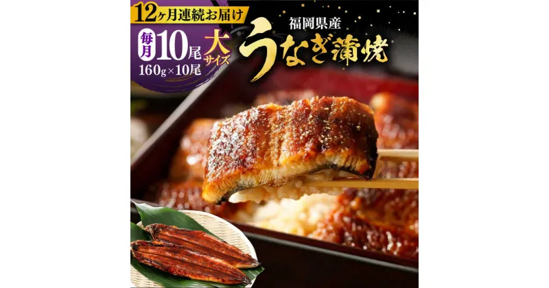 【ふるさと納税】【全12回定期便】福岡県産 うなぎ 蒲焼 大 10尾　計1600g（1尾あたり 160g以上）《豊前市》【福岡養鰻】 国産 鰻 ウナギ 蒲焼き[VAD029] 700000 700000円