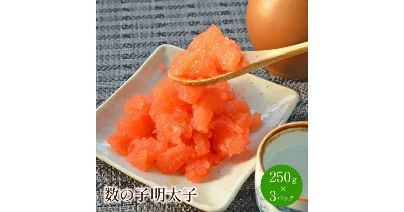 【ふるさと納税】[辛子明太子]数の子明太子250g×3パック(合計750g) 家庭用 珍味 明太子 めんたいこ 辛子明太子 魚介 海鮮 魚卵 数の子 かずのこ 福岡 中間市 ふるさと納税 明太子 ふるさと納税 惣菜 【001-0053】