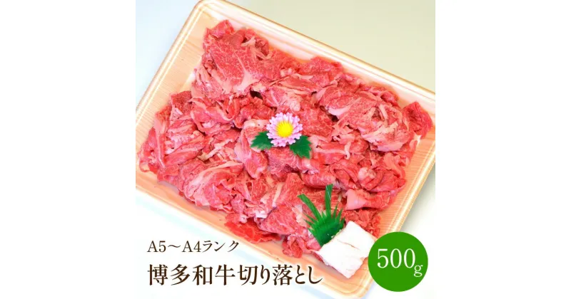 【ふるさと納税】博多和牛A5〜A4 切り落とし500g【001-0083】