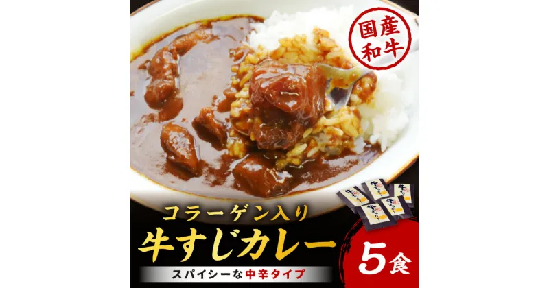 【ふるさと納税】[博多和牛]ゴロッ!と入ったコラーゲン牛すじカレー5食【001-0085】