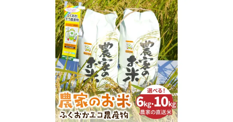 【ふるさと納税】＼選べる内容量！／農家の直送米　ふくおかエコ農産物＜農家のお米＞6kg 10kg 精米 白米 ごはん ご飯 米 お米 エコ おにぎり 直送米 国産 福岡 ふるさと納税 米 10kg ふるさと納税 米 食卓応援