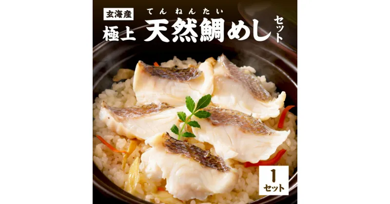 【ふるさと納税】玄海の極上天然鯛めしセット[鯛の切身、だし汁、鯛茶漬け用だし] 魚介 海鮮 魚 タイ 鯛 天然鯛 切り身 おにぎり 簡単 炊くだけ グルメ お取り寄せ ふるさと納税 惣菜 福岡県 中間市 【010-0001】