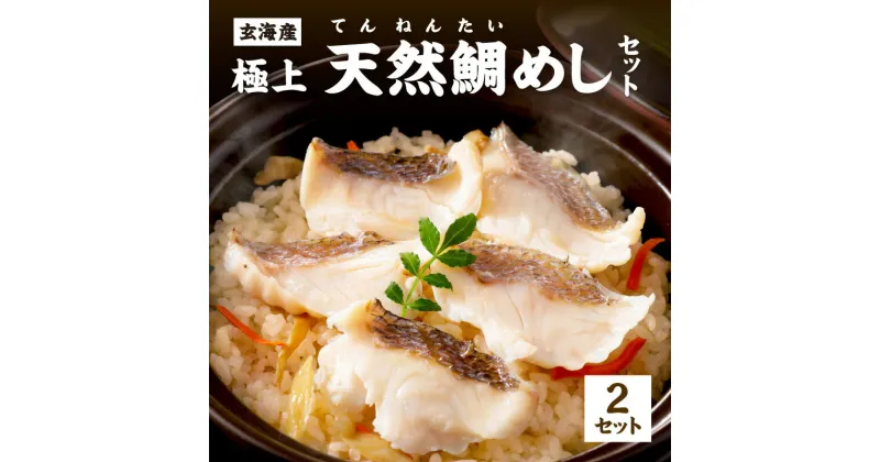 【ふるさと納税】玄海の極上天然鯛めしセット[鯛の切身、だし汁、鯛茶漬け用だし]×2 魚介 海鮮 鯛めし お茶漬け おかず おにぎり 添加物不使用 簡単 炊飯器 炊き込みご飯 ふるさと納税 惣菜 【010-0002】