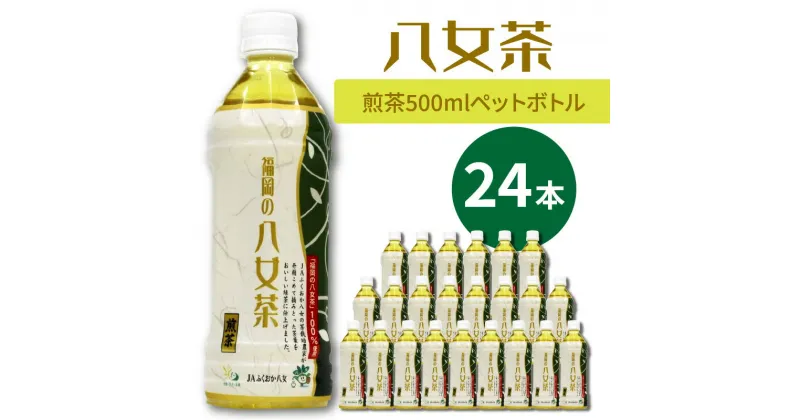 【ふるさと納税】八女茶　煎茶ペットボトル　500ml×24本【015-0004】