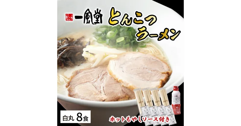 【ふるさと納税】ラー麦使用「一風堂」とんこつラーメン 白丸(8食)【ホットもやしソース付き】【034-0030】