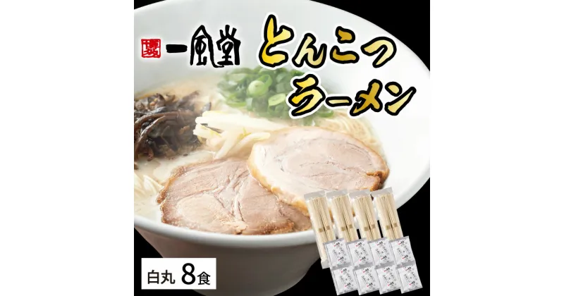 【ふるさと納税】ラー麦使用「一風堂」とんこつラーメン 白丸(8食)【034-0031】