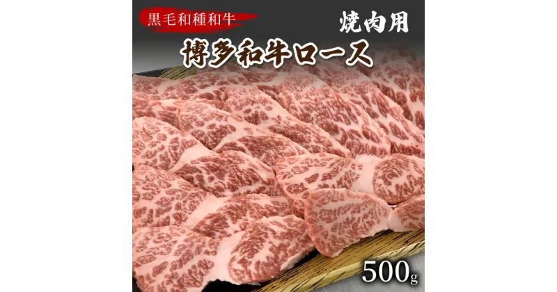 【ふるさと納税】【数量限定】博多和牛ロース焼肉用(500g)【009-0011】