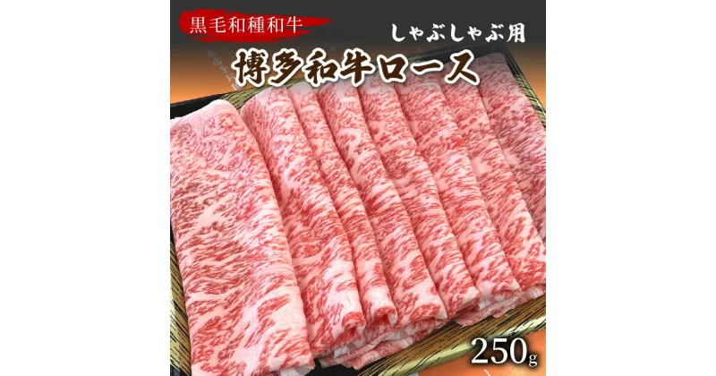 【ふるさと納税】【数量限定】博多和牛ロースしゃぶしゃぶ用 250g【009-0012】