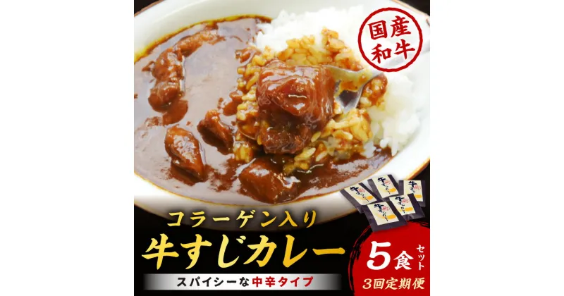 【ふるさと納税】【3回定期便】ゴロッ!と入ったコラーゲン博多和牛　牛すじカレー5食セット【001-0386】