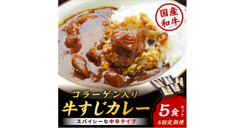 【ふるさと納税】【4回定期便】ゴロッ!と入ったコラーゲン　博多和牛　牛すじカレー5食セット【001-0387】