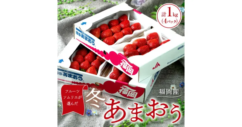 【ふるさと納税】フルーツソムリエが選んだ福岡産【冬】あまおう4パック【011-0049】