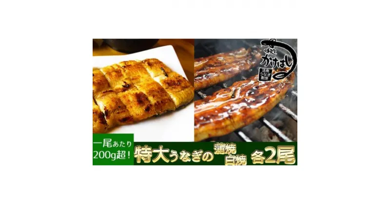 【ふるさと納税】心に染みる「かけはし」の味 特大 うなぎの蒲焼き 白焼き（各2尾） 秘伝のタレ付　うなぎ・鰻