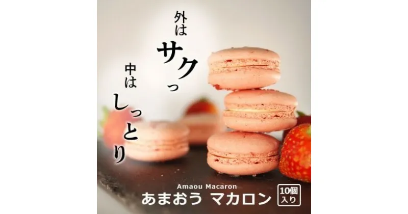 【ふるさと納税】焼き菓子 外はさっくり中はしっとり あまおう マカロン 10個入り 菓子 焼菓子 おやつ 平岡学園　小郡市　お届け：2024年12月25日～2025年1月8日まで