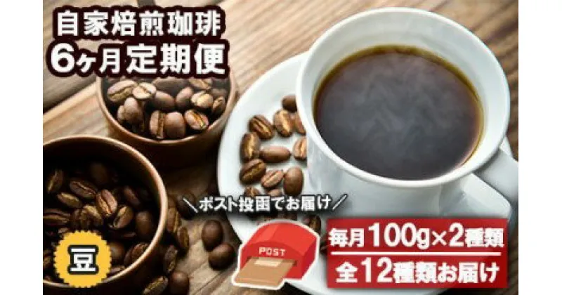 【ふるさと納税】コーヒー 定期便 6ヶ月 自家焙煎 Morrow珈琲 100g×2種 豆　定期便・小郡市