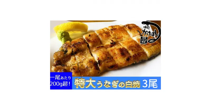 【ふるさと納税】心に染みる「かけはし」の味 特大 うなぎの白焼き 3尾　うなぎ・鰻