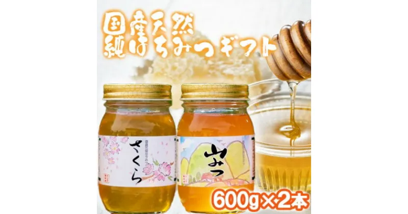 【ふるさと納税】はちみつ 化粧箱入り 国産 天然 純はちみつ 600g×2本セット さくら＆やまみつ ギフト 《包装対応、手提げ袋付》　小郡市