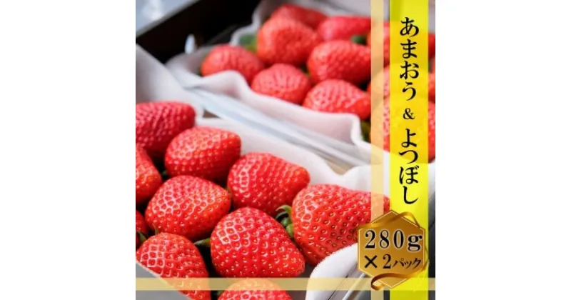 【ふるさと納税】いちご いちごの王様 あまおう＆よつぼし 各1パック セット (280g×2) イチゴ 苺 果物 デザート ベリー畑 福田ファーム ※配送不可：沖縄、離島　小郡市　お届け：2024年12月上旬～2025年3月下旬まで