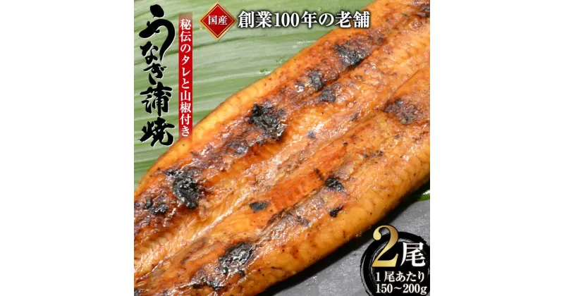 【ふるさと納税】創業100年の味 鰻の蒲焼 2尾 秘伝のタレと山椒付き / 川魚料理 鯉ひろまつ 福岡県 筑紫野市