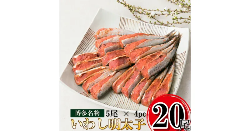 【ふるさと納税】いわし 明太子 20尾(5尾 4pc) 真いわし 辛子 明太子 化粧箱入 [博多漁師の里 福岡県 筑紫野市 21760129] 辛子明太子 めんたいこ めんたい いわし明太 いわしめんたい 鰯 国産 冷凍 福岡 博多