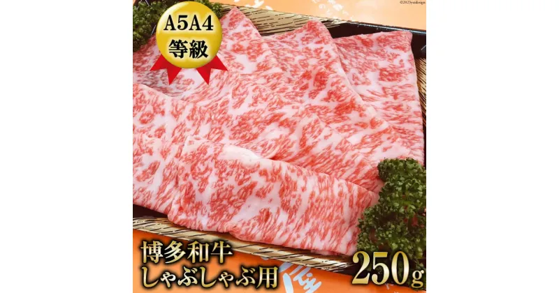 【ふるさと納税】【数量限定】博多和牛 ロース しゃぶしゃぶ用 250g / 筑前屋 / 福岡県 筑紫野市 [21760385] 肉 牛肉 和牛 牛 ビーフ 国産牛 ブランド牛 焼肉 冷凍