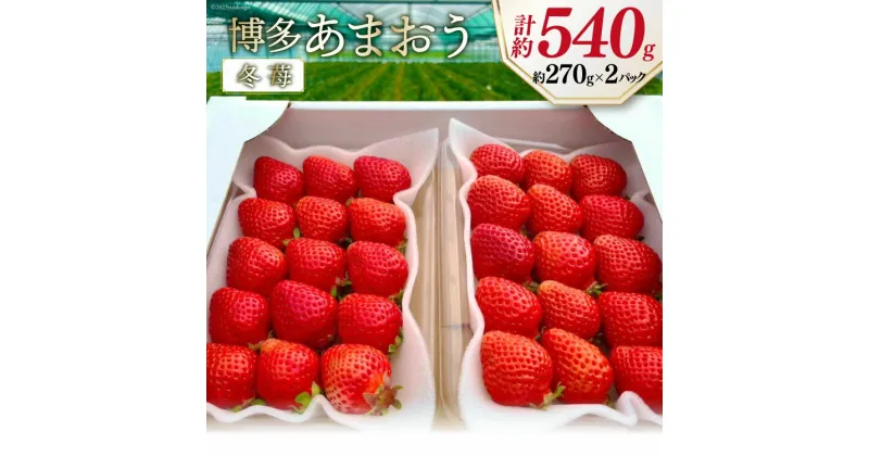 【ふるさと納税】先行受付 【 博多あまおう 】 いちご 約270g×2p / エイチアンドフューチャーズ / 福岡県 筑紫野市 [21760471] 果物 フルーツ いちご イチゴ 苺 朝採り 新鮮