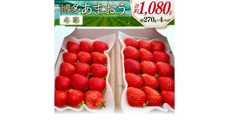 【ふるさと納税】先行受付 【 博多あまおう 】 いちご 約270g×4p / エイチアンドフューチャーズ / 福岡県 筑紫野市 [21760472] 果物 フルーツ いちご イチゴ 苺 朝採り 新鮮