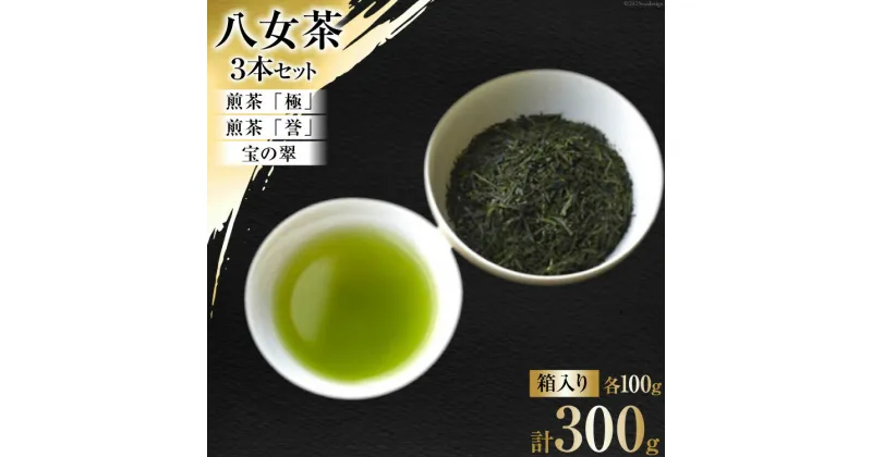 【ふるさと納税】茶 八女茶 煎茶「極」・煎茶「誉」・宝の翠 100g×各1 計3本 セット 箱入り [くしだ企画 福岡県 筑紫野市 21760606] お茶 煎茶 緑茶 銘茶 茶葉 飲み比べ 福岡県産 八女