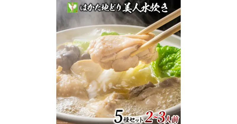 【ふるさと納税】 はかた地どり 美人水炊きセット 鶏肉2種 スープ 麺 コラーゲン 計5種 2～3人前 [MEAT PLUS 福岡県 筑紫野市 21760711] 水炊き セット 鶏 鶏肉 とり肉 鶏団子 福岡 博多 国産