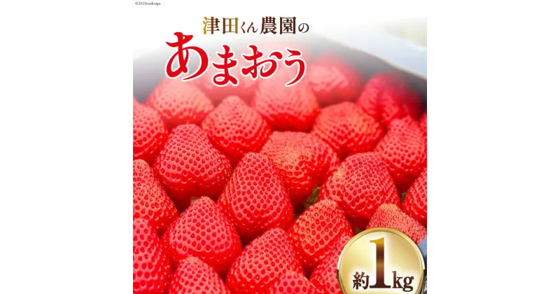 【ふるさと納税】【期間限定発送】いちご 津田くん農園のあまおう 約1kg [くしだ企画 福岡県 筑紫野市 21760719] 苺 あまおう イチゴ 福岡 期間限定