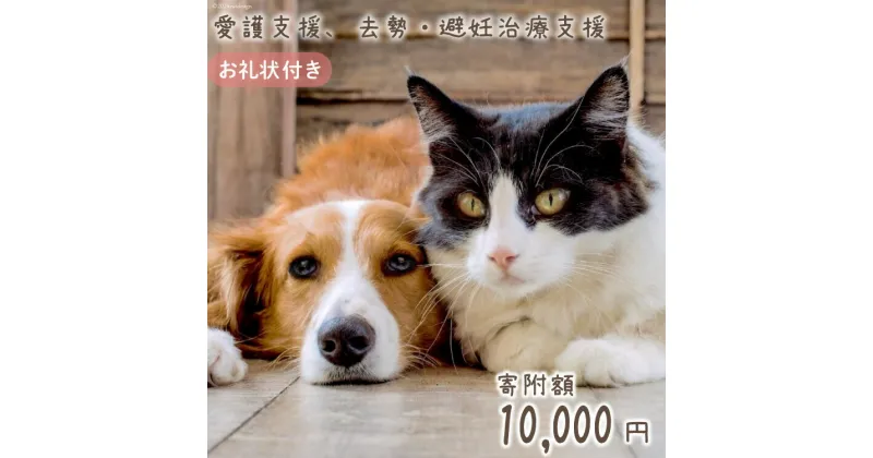 【ふるさと納税】愛護支援、去勢・避妊治療支援 1万円 [Animal Care Salvation 福岡県 筑紫野市 21760769] 動物 ペット 愛護 TNR 保護 動物福祉 保護施設 里親 犬 猫 イヌ ネコ 動物愛護