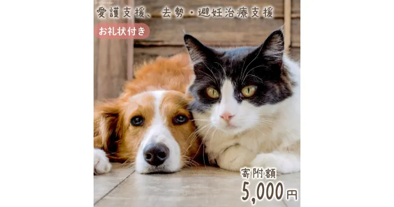 【ふるさと納税】愛護支援、去勢・避妊治療支援 5000円 [Animal Care Salvation 福岡県 筑紫野市 21760768] 動物 ペット 愛護 TNR 保護 動物福祉 保護施設 里親 犬 猫 イヌ ネコ 動物愛護