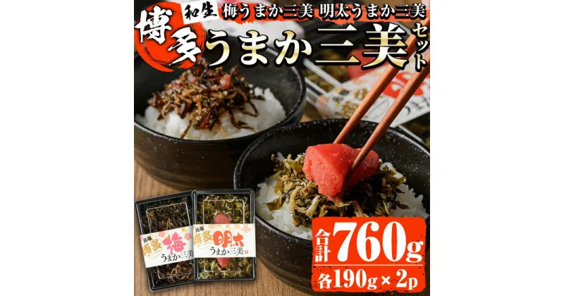 【ふるさと納税】博多うまか三美つくだ煮セット(計760g) 辛子高菜 明太高菜 佃煮 つくだ煮 きくらげ ご飯 おにぎり おつまみ 惣菜 ＜離島配送不可＞【ksg0534】【和生】