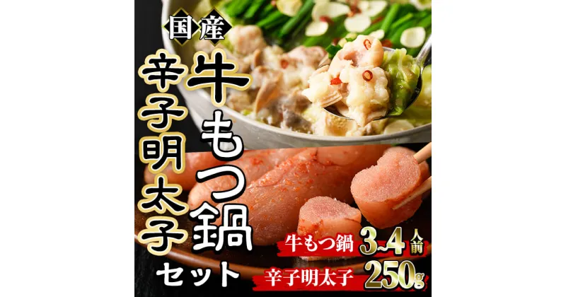 【ふるさと納税】国産牛もつ鍋(3〜4人前)・辛子明太子(250g)セット モツ鍋 もつ鍋セット 牛モツ 牛肉 ホルモン 明太子 めんたいこ ちゃんぽん チャンポン お取り寄せ ＜離島配送不可＞【ksg0022】【樽味屋】