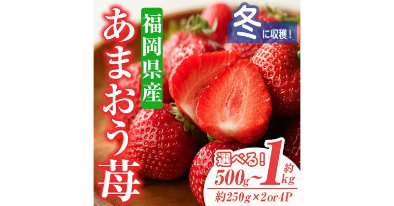 【ふるさと納税】＜容量を選べる・先行予約受付中！2024年11月下旬から2025年1月下旬にかけて順次発送予定＞あまおう苺・冬(計約500g or 1kg)いちご 苺 フルーツ 果物 くだもの 福岡限定 家庭用 冷蔵 ＜離島配送不可＞【ksg0031・ksg0032】【南国フルーツ】