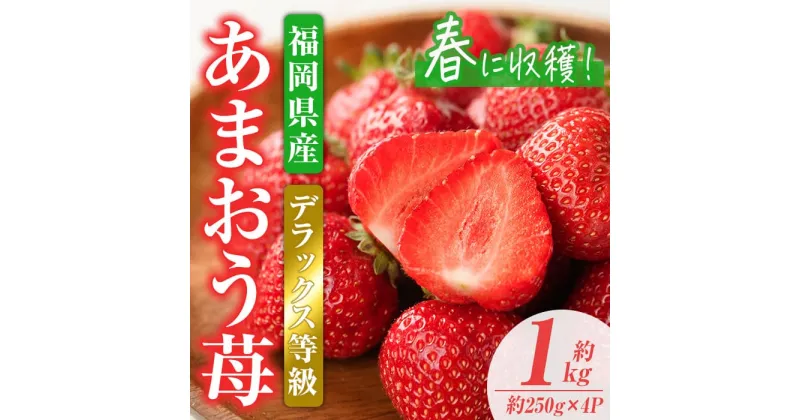 【ふるさと納税】＜先行予約受付中！2025年2月上旬から3月末にかけて順次発送予定＞あまおうDX(デラックス)・春(計約1kg・約250g×4P)いちご 苺 フルーツ 果物 くだもの 福岡限定 家庭用 冷蔵 ＜離島配送不可＞【ksg0473】【南国フルーツ】