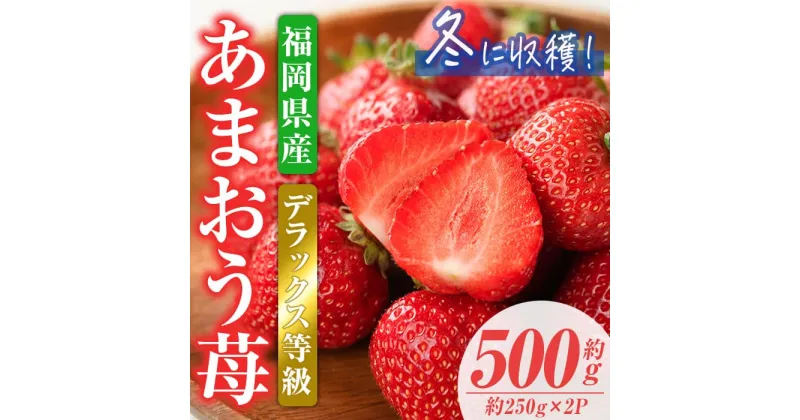 【ふるさと納税】＜先行予約受付中！2024年11月下旬から2025年1月下旬にかけて順次発送予定＞あまおうDX(デラックス)・冬(計約500g・約250g×2P)いちご 苺 フルーツ 果物 くだもの 福岡限定 家庭用 冷蔵 ＜離島配送不可＞【ksg0474】【南国フルーツ】