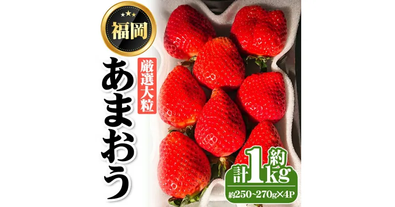 【ふるさと納税】＜先行予約受付中・数量限定＞2025年2月からお届け！厳選大粒あまおう(計約1kg・約250～270g×4P) 苺 いちご イチゴ フルーツ 果物 くだもの 手作り スイーツ ＜離島配送不可＞【ksg1249】【THE FARM_strawberry】