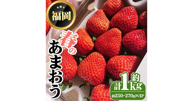 【ふるさと納税】＜先行予約受付中・数量限定＞2025年3月からお届け！春のあまおう(計約1kg・約250～270g×4P) 苺 いちご イチゴ フルーツ 果物 くだもの 手作り スイーツ ＜離島配送不可＞【ksg1250】【THE FARM_strawberry】