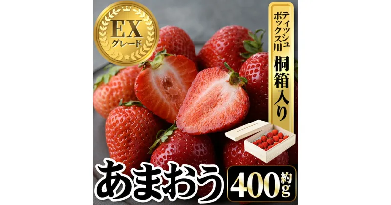 【ふるさと納税】＜先行予約受付中・数量限定＞2025年2月からお届け！プレミアムあまおうEX ティッシュボックス用特別仕様の桐箱入り(約400g) 苺 いちご イチゴ フルーツ 果物 くだもの 手作り スイーツ ギフト 贈答 ＜離島配送不可＞【ksg1251】【THE FARM_strawberry】