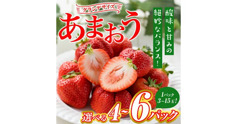 【ふるさと納税】＜先行予約受付中・2025年1月より順次発送・容量を選べる＞いちごの王様！あまおう グランデサイズ(4～6パック・1パック：3玉～15玉入り) 苺 フルーツ 果物 数量限定 冷蔵 ＜離島配送不可＞【ksg1296・ksg1514】【よっちゃんファーム】