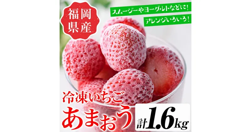 【ふるさと納税】訳あり いちごの王様【あまおう】冷凍いちご (計1.6kg) 苺 いちご あまおう フルーツ 果物 冷凍 数量限定＜離島配送不可＞【ksg1322】【よっちゃんファーム】